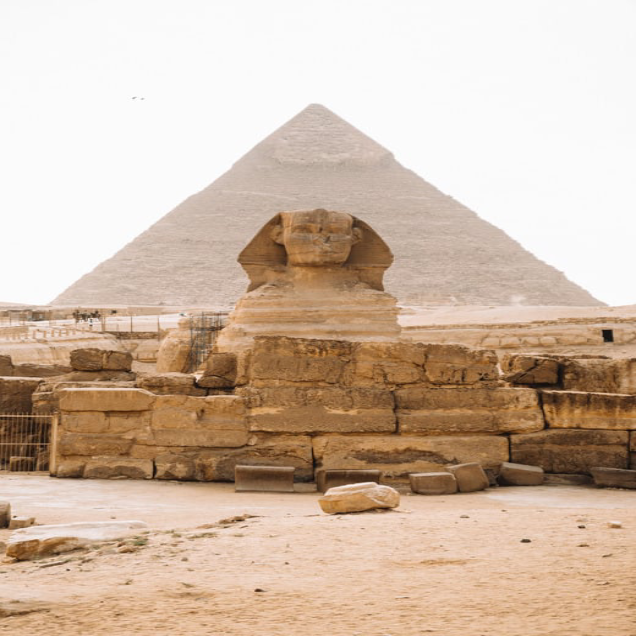Egypt-tours (13)