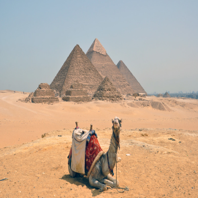 Egypt-tours (15)